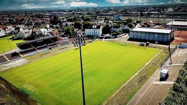 球队必须要 球队必须要