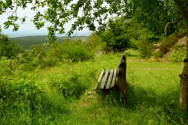 结合社会热 结合社会热