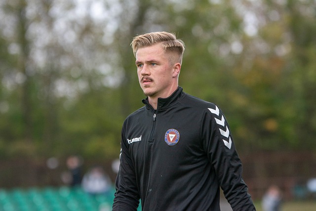 由此可见 由此可见