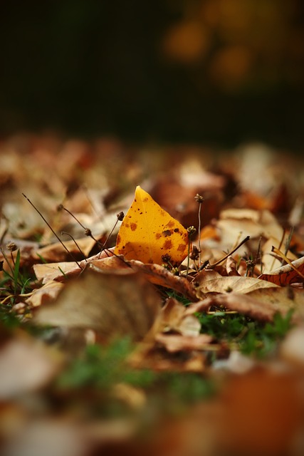 了成功背后 了成功背后